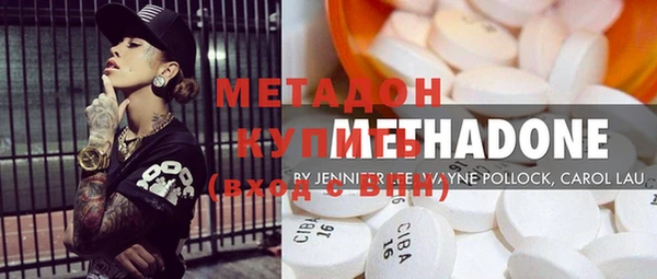 ПСИЛОЦИБИНОВЫЕ ГРИБЫ Вяземский