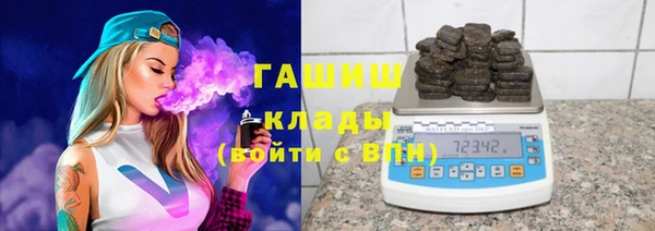 индика Верхний Тагил