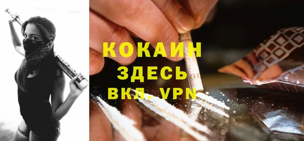 ПСИЛОЦИБИНОВЫЕ ГРИБЫ Вяземский