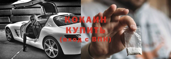 индика Верхний Тагил