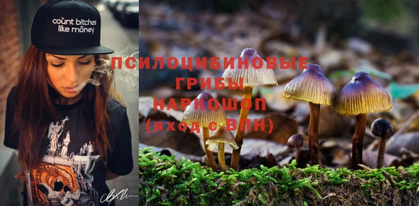 кокаин Бородино