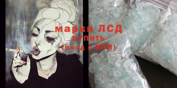 индика Верхний Тагил
