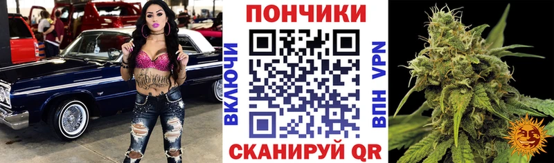Каннабис Bruce Banner  Жуковка 